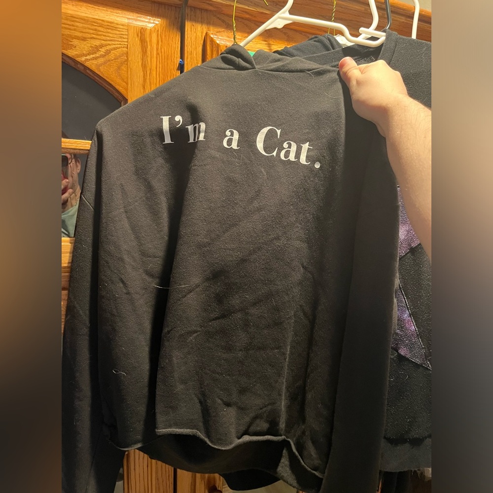 Black I'm a Cat Cropped Hoodie